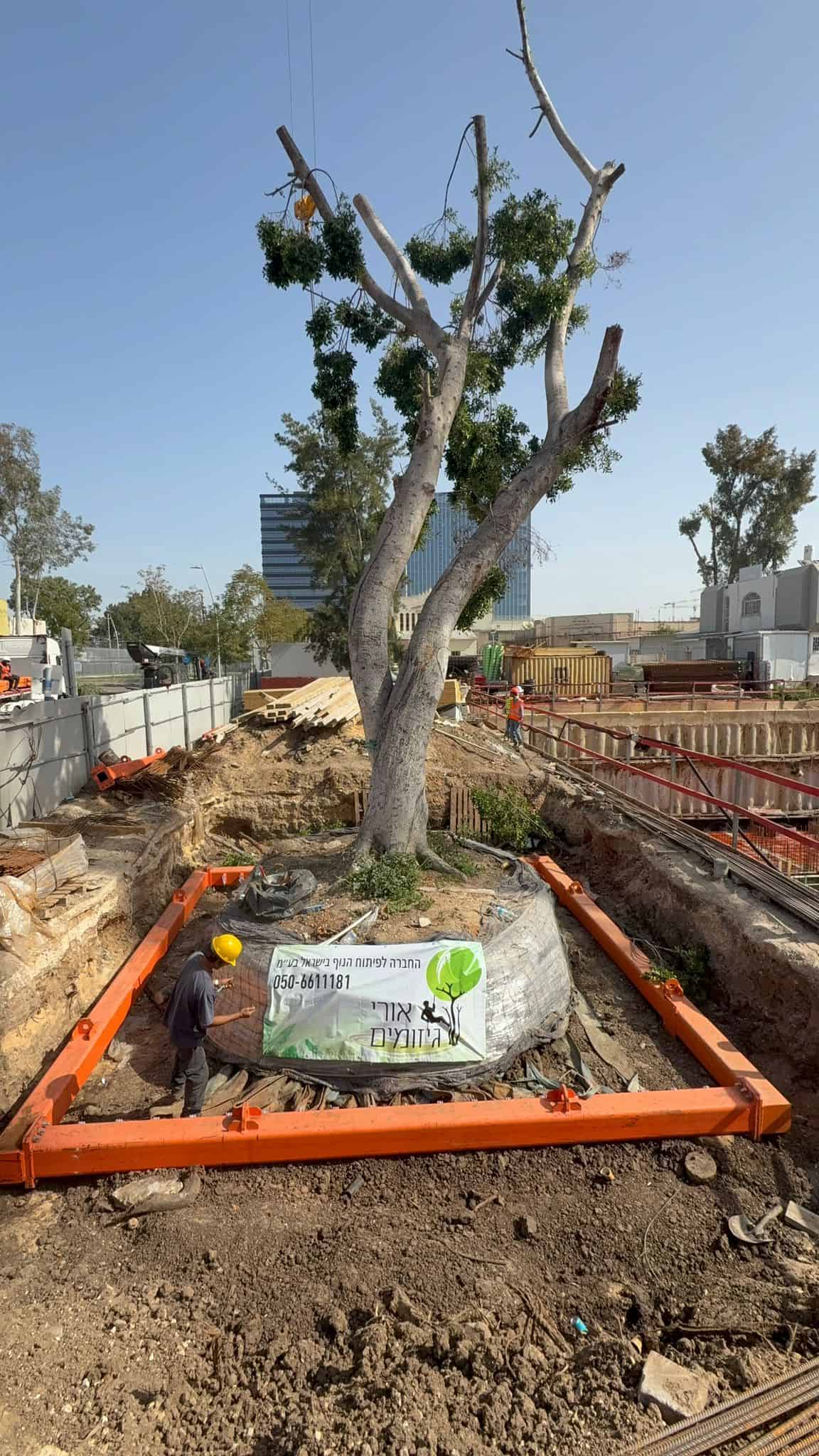 העתקת עץ שלב ראשון