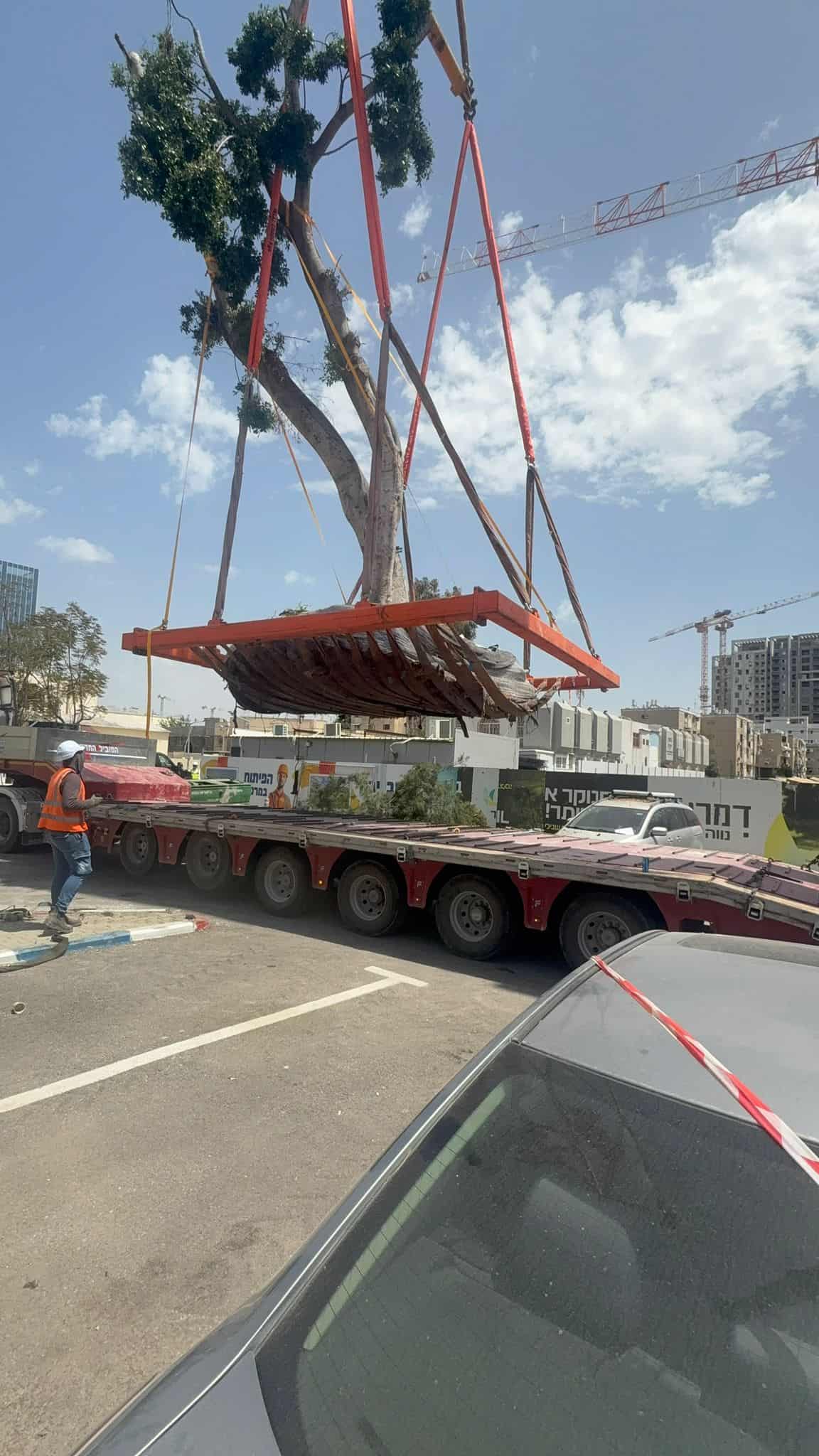 העתקת עץ שלב חמישי