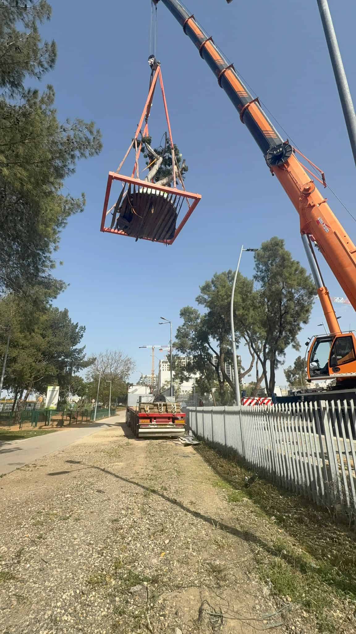 העתקת עץ שלב תשיעי