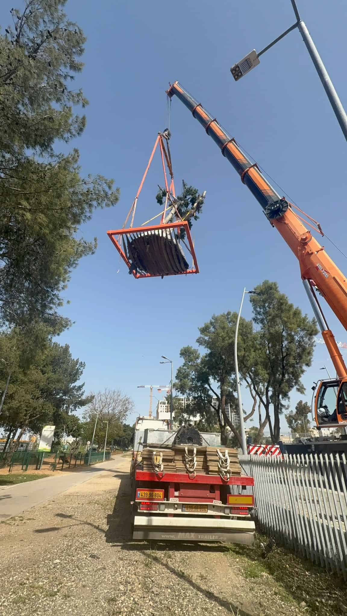 העתקת עץ שלב שביעי